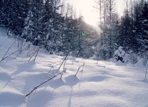 alpes-neige