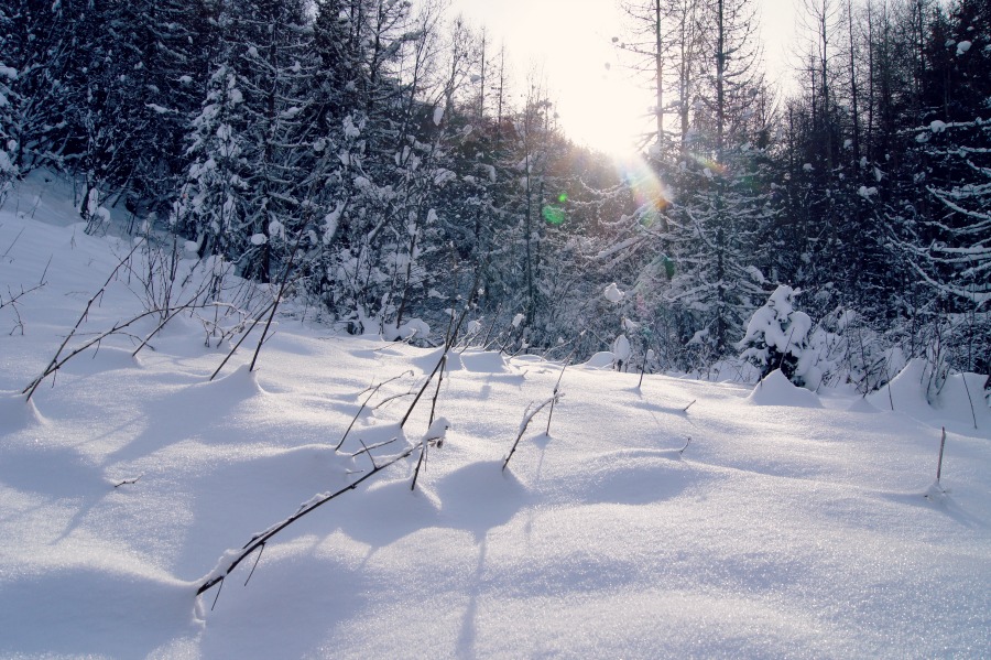 alpes-neige