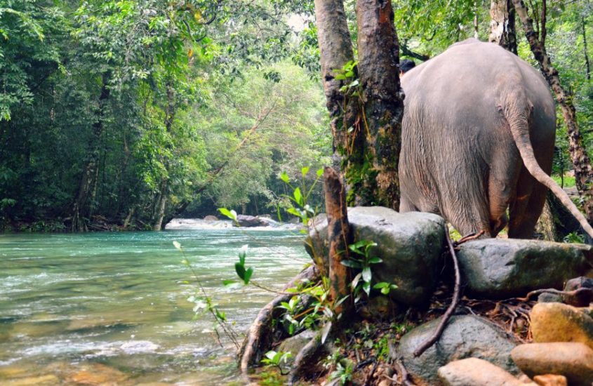koh-chang