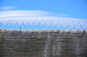 robben island