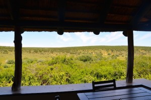 addo park