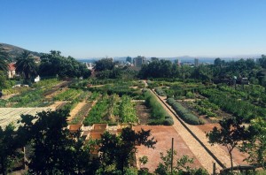 potager-le-cap