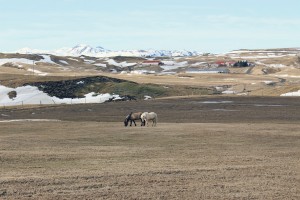 paysage-islande