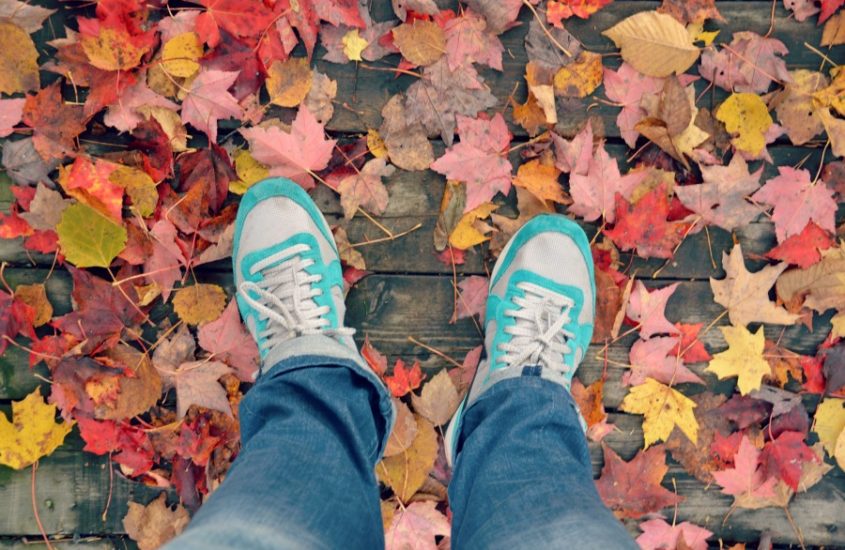 automne-mauricie