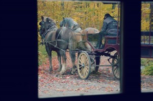 baluchon-mauricie