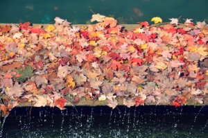 automne-montreal