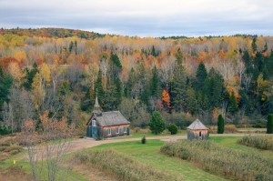 foret-mauricie