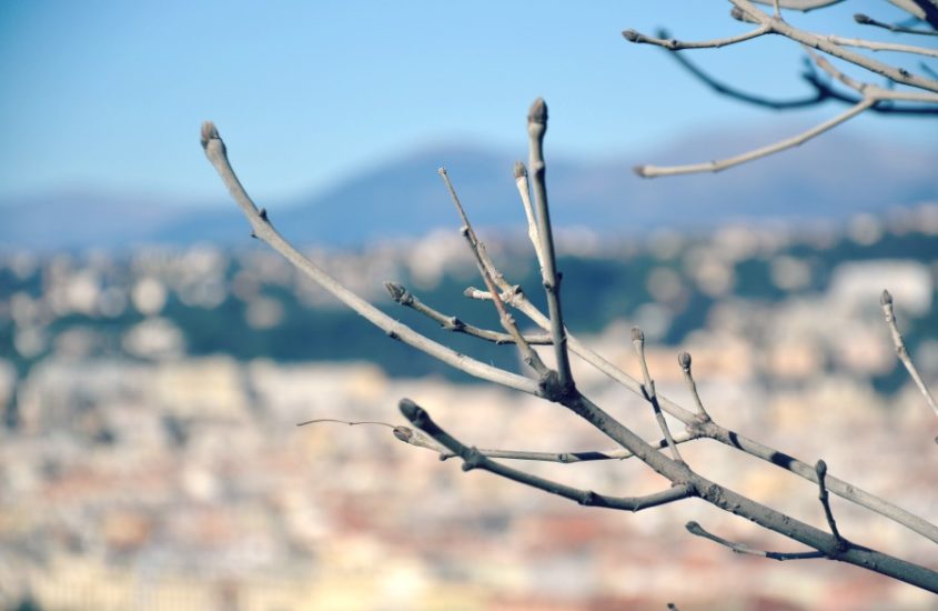 decouvrir-nice-autrement