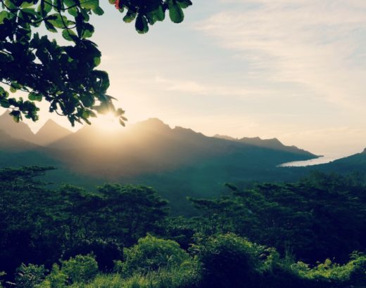 moorea