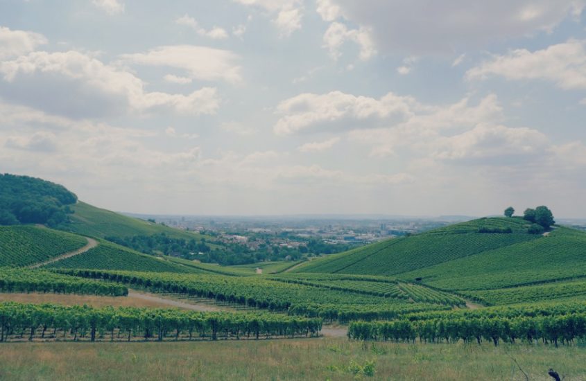 vignoble-heilbronn