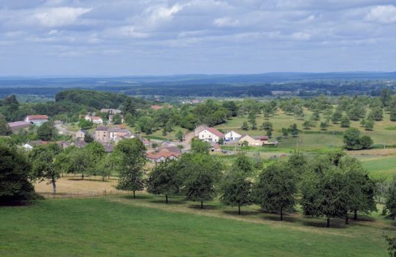 Vue sur les vergers de cerisiers